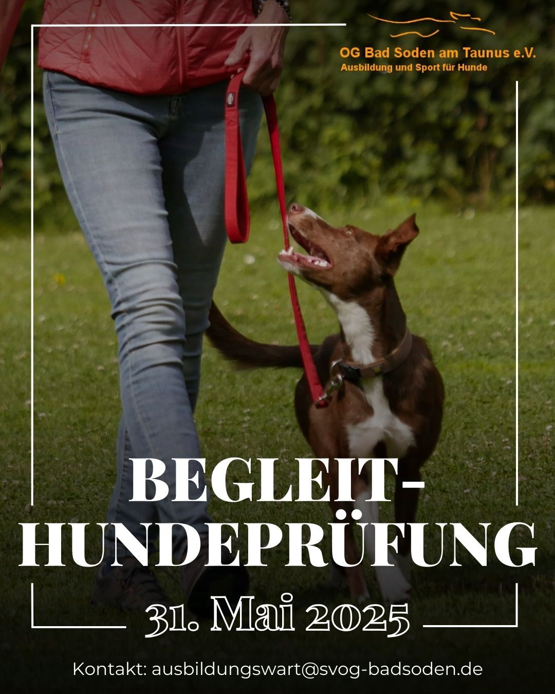 Begleithundeprüfung