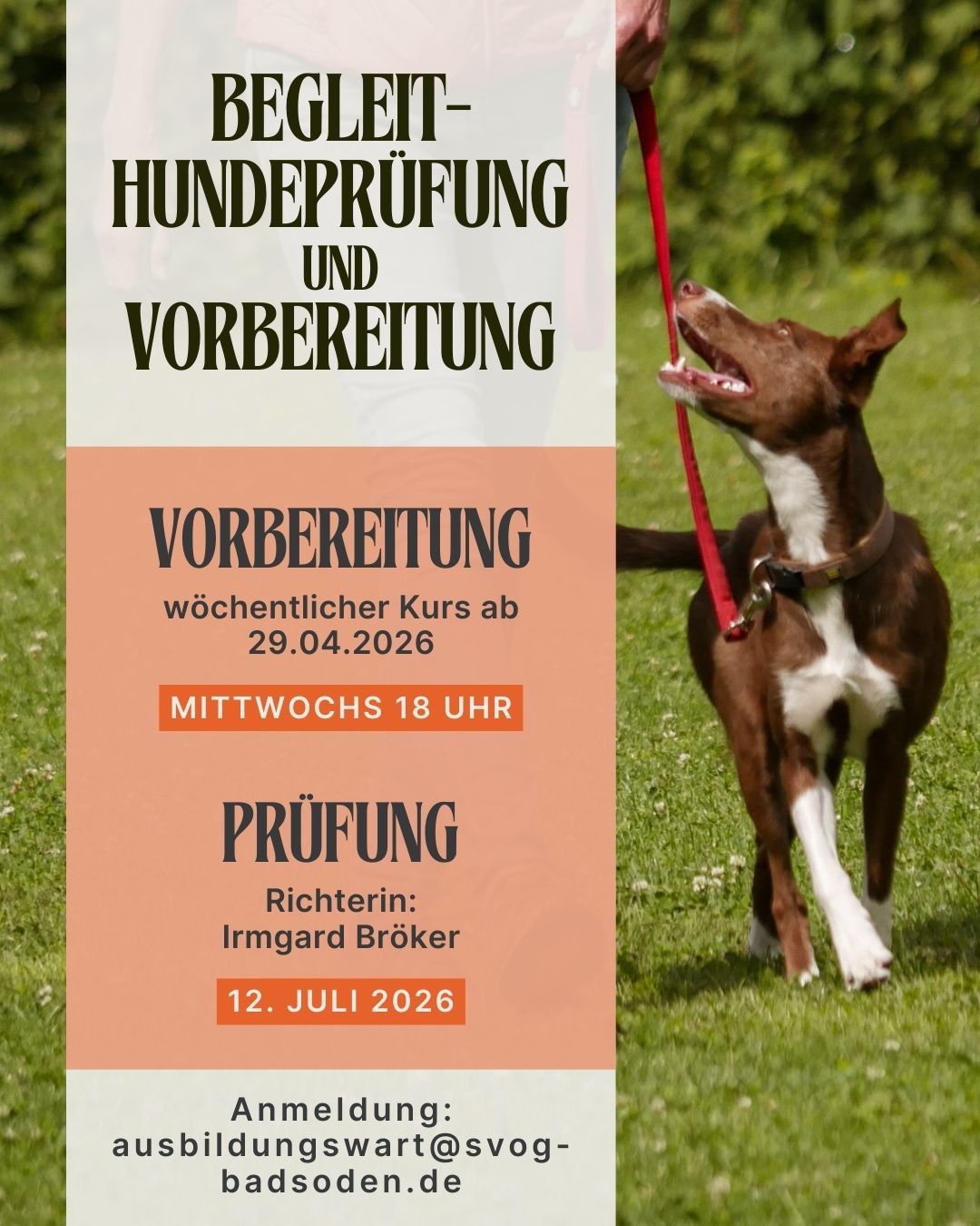 Begleithundeprüfung 2.1