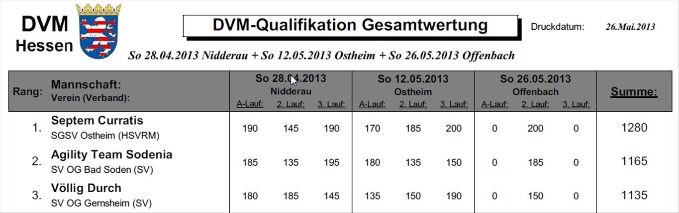 dvm2013 offenbach 2